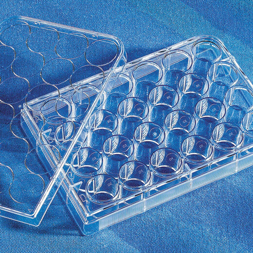 Corning Culture Plate 6 24 96 384-Well Transparent Flachboden Ultra-Low Adsorption Polystyrolmikroplat mit Abdeckung Steril 3474 3524 24-Well-Standardkulturplatte TC Oberflächenzellkulturplatte