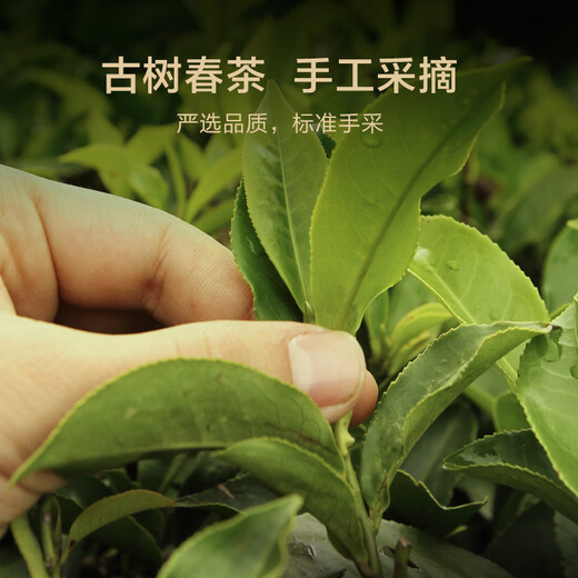 
Made in Jingdong, Pu'er ripe tea 150g cake, 17 years of raw materials, Pu'er Mengku tea Menghai Cang tea souvenir gifts, self-operated