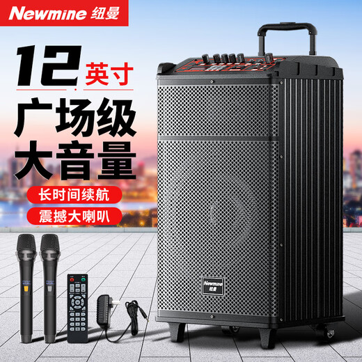 Newman N520 portable square dance high-power bass outdoor karaoke Bluetooth pull rod electric acoustic guitar folk musical instrument speaker amplifier stall speaker dual microphone adapter 12 inches