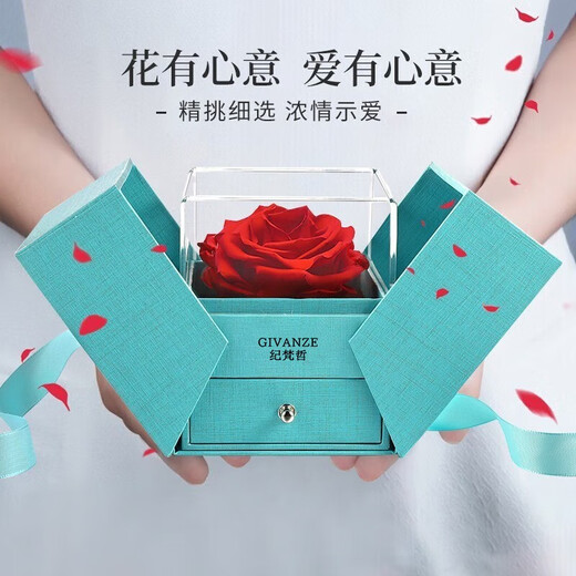 纪梵哲轻奢四叶草项链女生吊坠2025新款手链珠宝首饰生日礼物送女友老婆 玫瑰金色四叶草项链