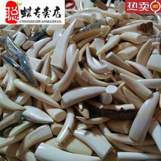 SNQP猛犸牙牙尖猛犸牙 吊坠猛犸象小牙尖猛犸象冰料牙尖 猛犸满纹牙尖 3271#规格约10*75mm