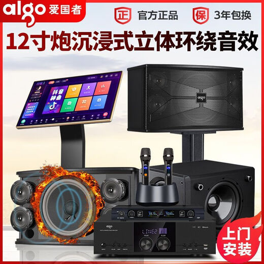 爱国者家庭KTV音响套装全套点歌机卡拉OK一体机家用专业K歌重低音 美声功放KTV全套+12寸双炮+投影 双十寸10单元音响