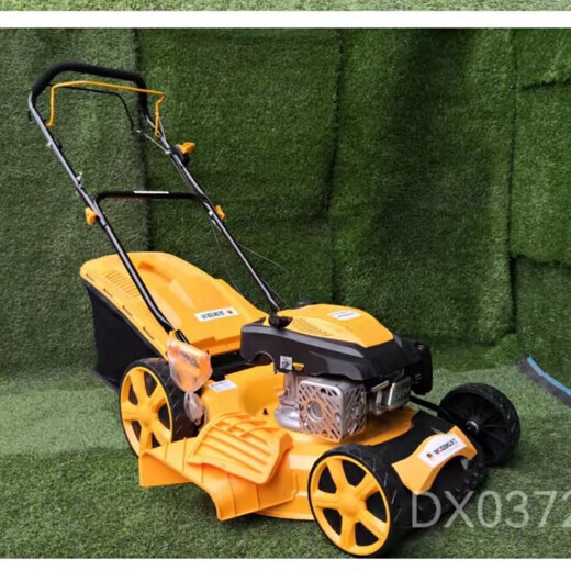 Woding Woding belt self-propelled W2022 lawn mower