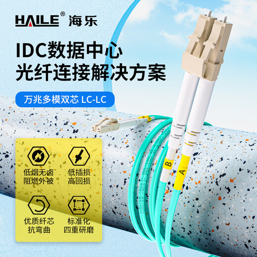 Haile 10 Gigabit Multimode Fiber Pumper LC-LC LOB CONNECTEUR DOUBLE DOUBLE HALOGE HALOGE OM3-300UPC CONNECTEUR 50/125 Pigtail 15 mètres HJ-2LC-LC-MT15