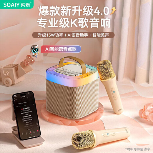 Sony Ericsson (soaiy) SK2Pro microphone microphone karaoke microphone audio all-in-one wireless Bluetooth speaker singing special artifact family ktv audio set children's microphone