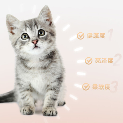 Xianlang fresh meat low temperature baked cat food grain-free full price kitten food milk cake grain milk cat food pet food baked kitten food 1KG