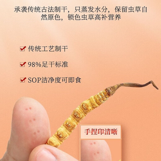[Cordyceps authentiques] GRAND GRASSE BROCKE