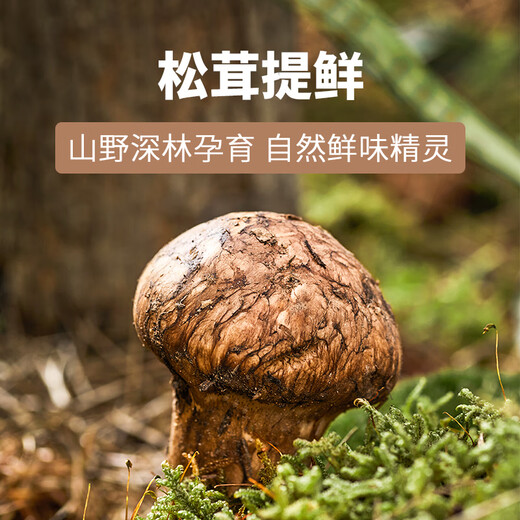 Matsutake Fresh Matsutake Seasoning 125g 0 additions to enhance the freshness of matsutake and can be used as a substitute for salt, chicken essence and MSG in soups and stir-fries