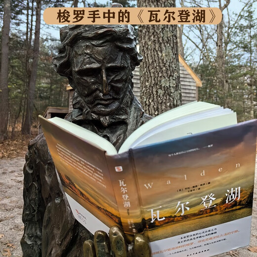瓦尔登湖（2024年精装本）（瓦尔登湖精美实景照片完美呈现，瓦尔登湖管理委员会盛赞推荐！翻译泰斗王晋华教授实地调研，历时700天精心翻译，不再晦涩难懂，浮躁世界里的灵魂清醒剂。）