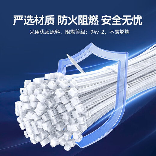 山泽 自锁式尼龙扎带 线缆电脑桌面装机 园艺理线束线捆扎多功能绑带 专业自锁式 透明尼龙扎带 100根【100*2.5mm】HZD-12