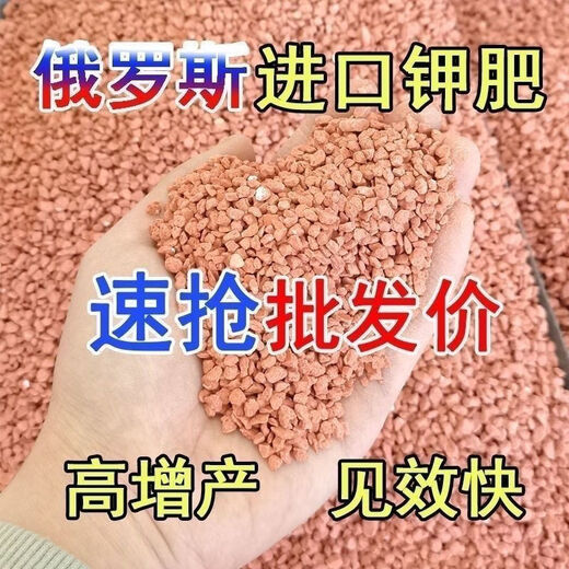 Potash fertilizer wholesale Russian imported high potassium efficient fertilizer general instant fertilizer for agricultural flowers, fruit trees and vegetables red granular potassium fertilizer 10Jin Jin equal to 0.5kg packed Russian imported red potassium (subcontracted)