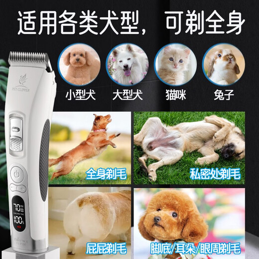 Xuanniao pet shaver dog hair clipper professional hair clipper head pet shop special pet hair clipper Teddy cat machine + 3.2mm hair clipper head micro hair clipper