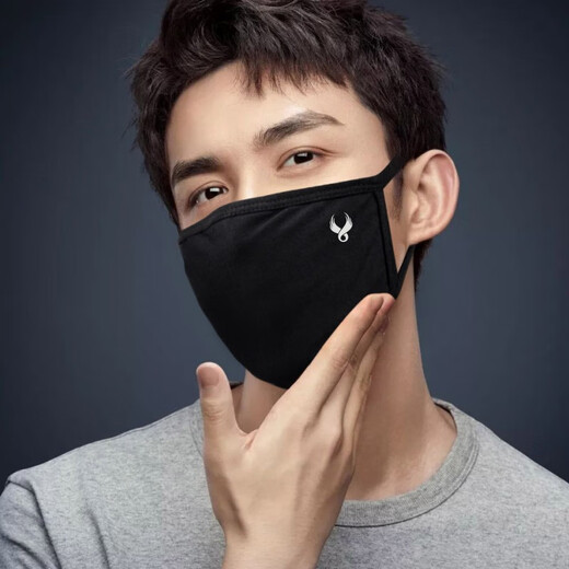 Jiata ny masks for men and women, trendy style, personalized and fashionable, Korean version, winter warm, thickened, dust-proof and cold-proof, pure cotton, breathable and good-looking, KZ three-layer thickened model 6002+6002 (2 pieces)