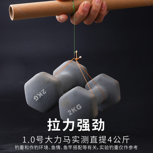 飓利强 大力马子线绑好鱼钩套装成品双钩防缠绕全套鲫鲤草鳊鱼钓鱼钩 防咬子线pe未打结子线 大力马双钩伊势尼有刺8号/1.5号线/10付