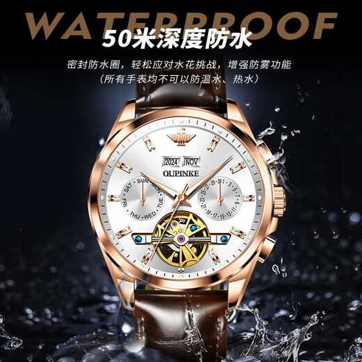 OUPINKE WATCH MEN Importierte Bewegung Vollautomatischer Maschinenwache Herren Uhr Luminöser wasserdichtes Schweiz zertifiziert Top Ten Herren Uhren OUPINKE 3291 BEIL ROSE WEISH WEISE KOSTENLOSE LIFELONG LIFELONGE GARANTIE