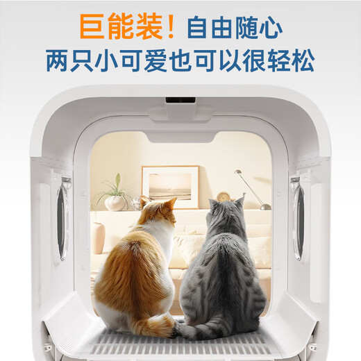 PEISIMA Intelligent Constant Temperature Pet Drying Box for Cats and Dogs Bathing and Drying Artifact British Short Ragdoll Bichon Blowing Water to Prevent Colds New Model Xingyao PRO Extra Large Wind Cherry Blossom Powder