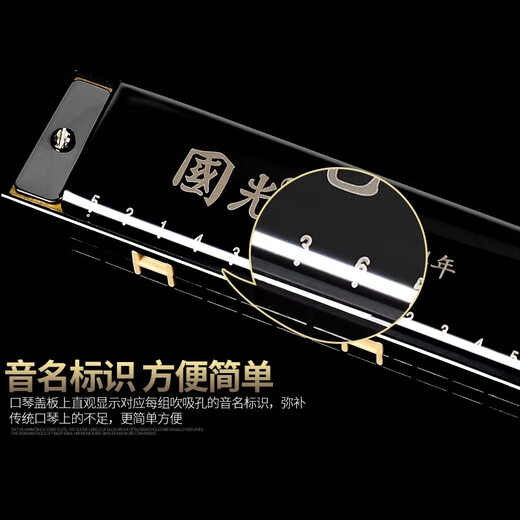国光正品国光口琴24孔复音C调初学者学生儿童男女自学入门口风琴乐器 24孔复音C调-黑色