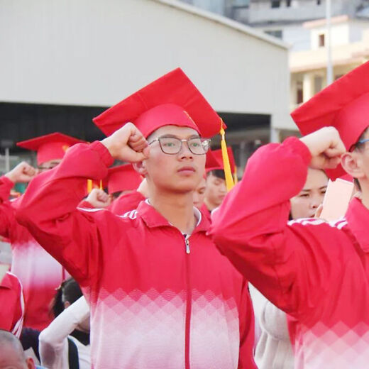 雷事兴成人礼帽高中18岁毕业典礼帽子学士帽学位帽博士硕士帽印字 成人礼帽(塑料） 均码可调节