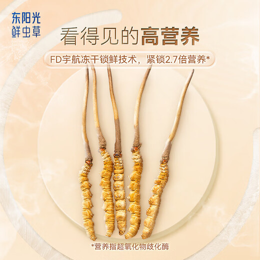 东阳光冬虫夏草4-5根/g约1.5g7根滋补礼盒冬虫草营养品补品送长辈老人