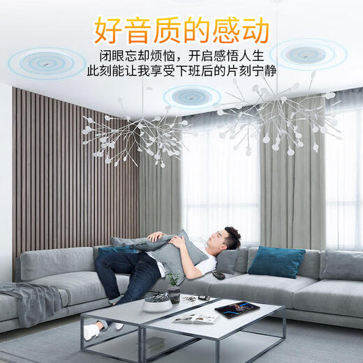 山水（SANSUI）SC21吸顶喇叭音响功放套装吊顶背景音乐公共广播定压天花商用会议店铺背景喇叭音箱系统 山水SC21 (8吋) *10+M500功放