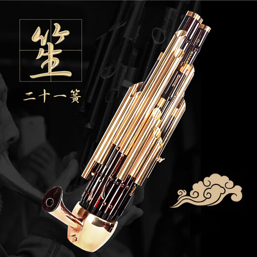 岐为精致加键扩音21簧笙乐器大全圆笙修笙工竽乐器笙包初学者 21簧漆金专业活斗笙【黄管】-D调