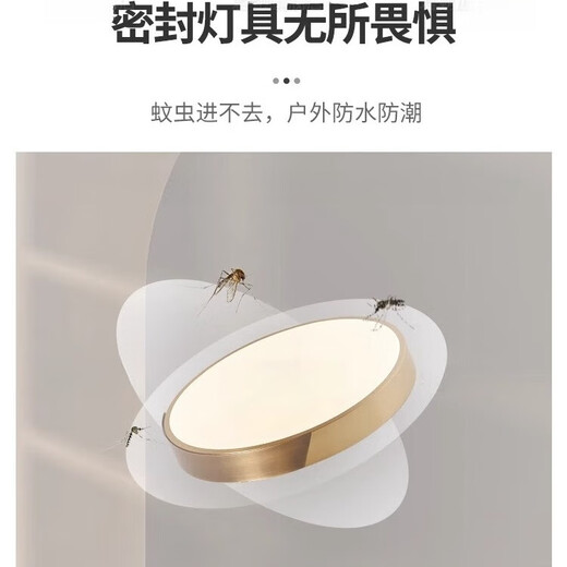 
Heling Quantong Villa Door Ceiling Light Outdoor Terrace Insect-proof Door Headlight Ultra-thin Door Headlight Lighting Entrance Door Light X3889/30CM/Three Color Adjustable