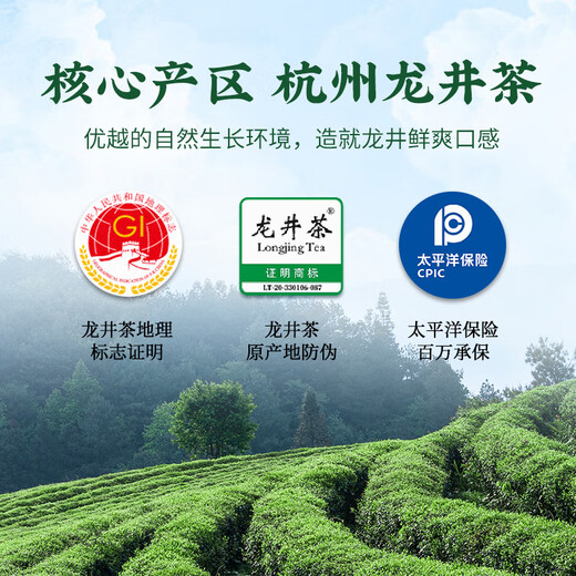 First Jiangnan Green Tea Longjing Special 200g2025 New Tea Mingzhou Tea Treasure Paper Pack Drink High-end Gifts