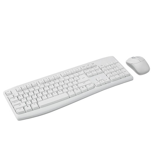 雷柏（Rapoo）X1800Pro无线键鼠套装商务办公光学鼠标键盘 白色（鼠标+键盘套装）