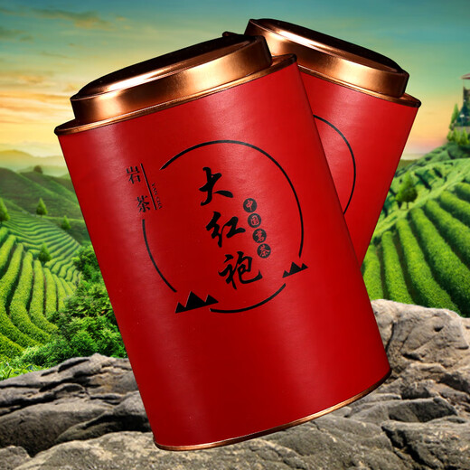 舞树新茶春茶大红袍茶叶武夷岩茶乌龙茶罐装礼盒批发散装 大红袍袋装试喝装50克