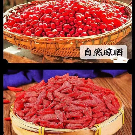 溥畔宁夏特一级特级新货红枸杞子无硫磺有机正宗干吃泡茶泡过年货 500g:9A宁夏头茬果(2罐)