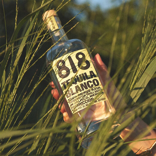 詹娜818金/银/陈酿龙舌兰酒TEQUILA肯达尔詹娜肯豆墨西哥进口洋酒 Blanco银龙舌兰 750mL 1瓶