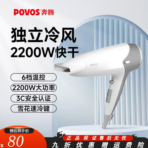 Pentium 2200W high power fast drying home hair salon hair dryer hair dryer 2200W high power