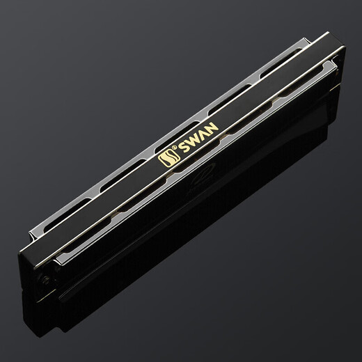 Swan Dream Chaser 2409 German imported gong polyphonic harmonica 24-hole professional performance for advanced beginners 24-hole #F-tune [black] polyphonic + full set of gifts