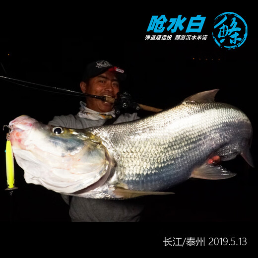 蓝旗鱼呛水白条白鲦mini沉水米诺远投路亚饵全泳层远投翘嘴鳜鱼鲈鱼拟饵 20g-闪银金彩902