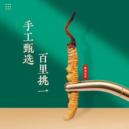 Xina Tibetan Cordyceps Cordyceps Snow Mountain Cordyceps Cordyceps King Snow Mountain High Altitude Nutritional Gift Box Pack Full Network Price Comparison Tibet Nagqu Cordyceps 10 Pack (2 pieces per gram)