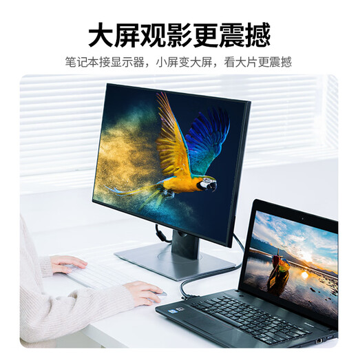 Greenlink VGA-Kabel in technischer Qualität, 3+6 reiner Kupferkern, Stecker auf Stecker, doppelter Magnetring, Videoverbindungskabel, geeignet für Computer-Host, verbunden mit TV-Monitor, Projektor, 8 Meter 11640