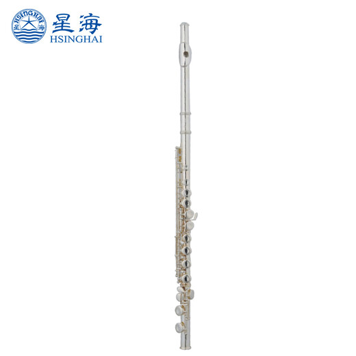 星海长笛镀银C调16键闭孔 E键长笛初学 专业院校考级乐器 16孔C调镀银【XF-100】
