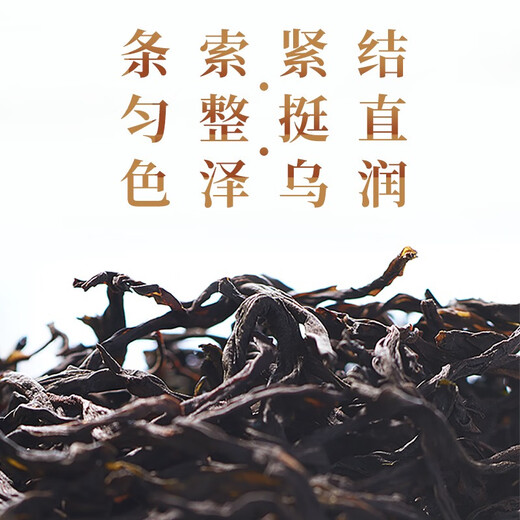 Song Huang Milan Xiang Tee Oolong Tea Phoenix Dantong Tee Tanzong Tee Mingqianchun Tee Enterprise Geschenk Geschenke Geschenke Geschenkboxed 6G2 Dosen mit mirillierter kostenloser Geschenk