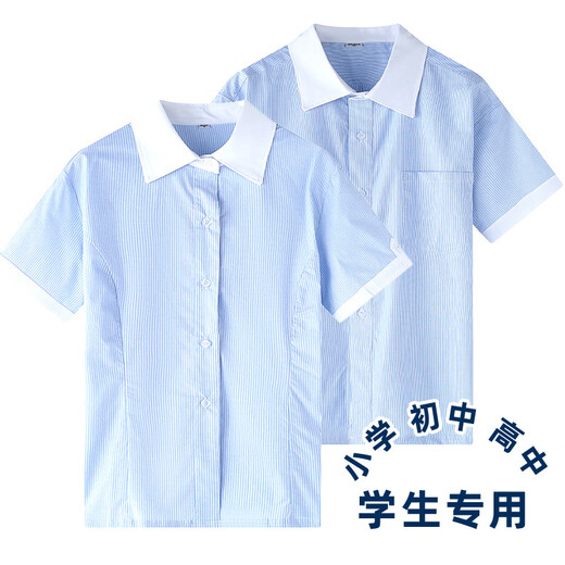 Xin Yueqing children's summer short-sleeved shirt for boys and girls, primary and secondary school uniform shirt, white collar, blue pinstripe half-sleeved top, thin striped boys' short-sleeved shirt 160 cm