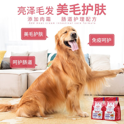 Oxfam Insect Protein Meat Cream Dog Food for Adult Dogs and Puppies 1.5kg Gastrointestinal Conditioning Hair Beauty and Skin Care Guaranteed Refund Meat Cream Dog Food Gastrointestinal Conditioning 5.5kg 1 Bag