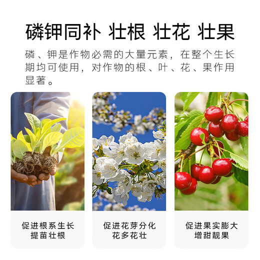 Dugo 99% potassium dihydrogen phosphate foliar fertilizer for agricultural flowers, fruit trees and vegetables, special phosphate fertilizer and potassium fertilizer, universal water-soluble fertilizer 1kg*1 pack