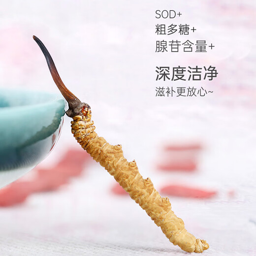 Huaici tang cordycep