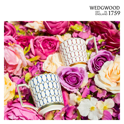 Wedgwood[圣诞礼物]金粉年华马克对杯心形礼盒高颜值情侣杯水杯咖啡杯 金粉年华马克杯心形礼盒