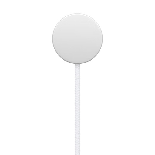 Apple/苹果 Apple Watch磁力充电线转USB-C 1米 苹果手表充电线磁吸充电线 适用于部分Watch/AirPods