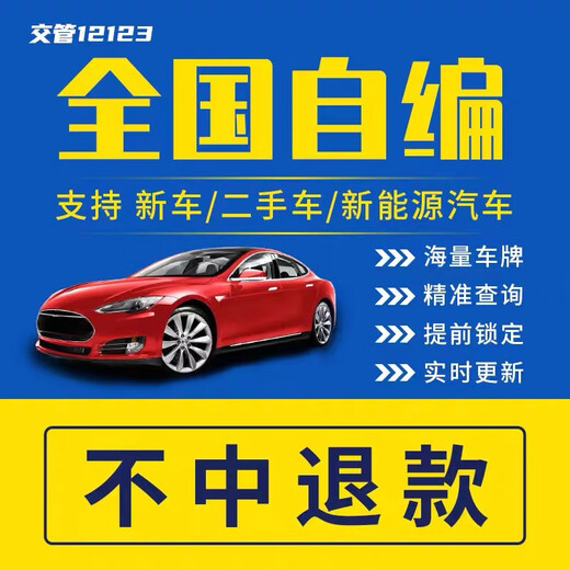 Nationale Nummernschild-Nummer-Auswahl selbst kompiliert und ausgewählt Shanghai, Guangzhou, Chengdu, Hangzhou New Energy Vehicle 12123 Datenbank weiße Brennstofffahrzeug ausgewählt