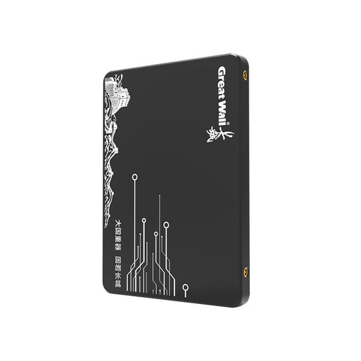 长城（Great Wall） 480GB SSD固态硬盘 SATA3.0接口 读速520MB/S台式机/笔记本通用 GW520系列
