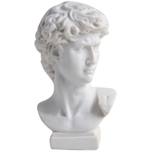 ZSTO David head plaster sculpture ornaments Nordic ins style sketch mini small plaster statue creative desktop decoration David medium size 15CM
