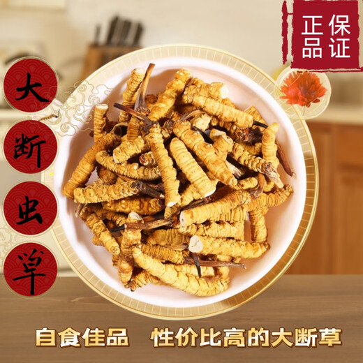 Cordyceps sinensis Snow Mountain Natural Cordyceps Sinensis große gebrochene Cordyceps Sinensis essen großes gebrochenes Gras und erschwingliche Suppe und kauen 50 Gramm Cordyceps sinensis großes gebrochenes Gras (56 Gramm Pack)