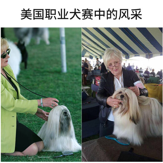 Top-notch American imported top-notch pet dog grooming and cat hair comb handle comb for professional beauticians to use to unknot and comb hair, professional black