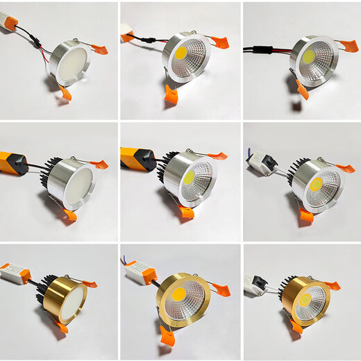 Micro-Chinese European Bull's Eye Lamp Cat's Eye Lamp LED Downlight Spotlight Wick Driver Light Source Accessories White Light Spotlight Wick (Thin Type) 3W